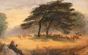 Liebende im Richmond Park