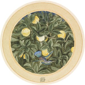 Der Kolibri von James Smetham