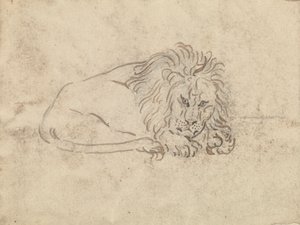 Ein Löwe