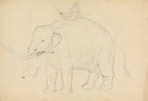 Elefant mit Reiter von James Sowerby