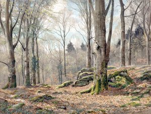 Ein walisischer Wald von James Thomas Watts