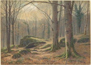 Ein Wintermorgen, Raureif schmilzt von James Thomas Watts