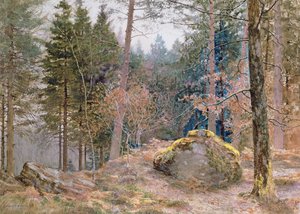 In einem walisischen Wald, Winter
