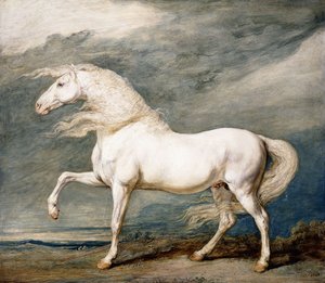 Adonis, König Georg III.s Lieblingspferd