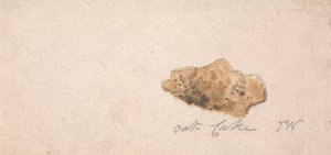 Ein Haferkuchen von James Ward
