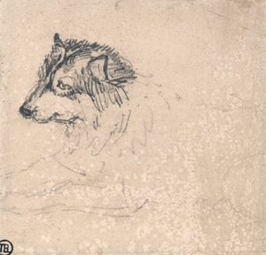 Arktischer Hund, nach links blickend von James Ward