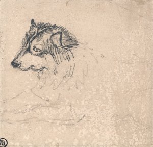 Arktischer Hund, nach links gewandt