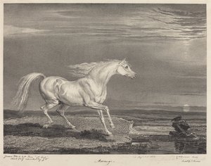 Marengo von James Ward