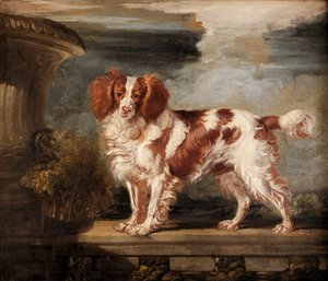 Porträt von Dash, einem Lieblingsspaniel, Eigentum von Lady Frances Vane-Tempest von James Ward