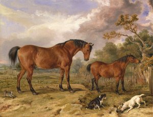 Porträt von Reformer, Blucher, Tory und Crib, Eigentum von Rowland Alston, Esq., M.P. [1836, Royal Academy of Arts, London, Ausstellungskatalog] von James Ward