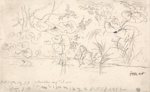 Studien von Pflanzen, 2. August 1815 von James Ward