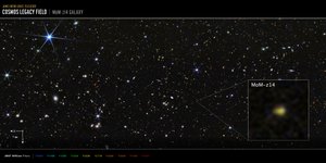 COSMOS-Feld MoM-z14 Galaxie von James Webb Space Telescope (NASA)