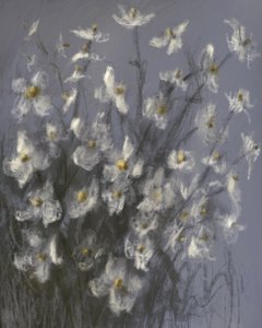Träumende weiße Blumen