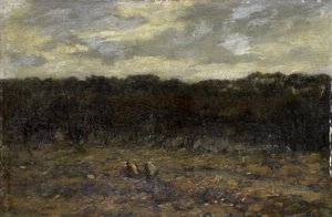 Moor auf der Heide von Jan Adam Zandleven