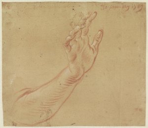 Studie eines rechten Arms