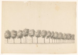 Baumallee in Batavia von Jan Brandes