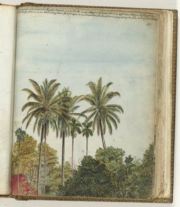 Blick aus dem Fenster von Jan Brandes
