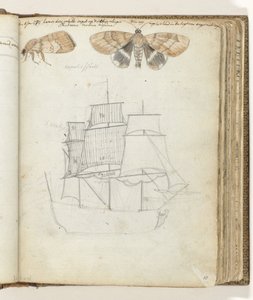 Schmetterling und Schiff