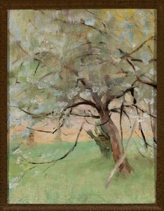 Apfelbaum von Jan Ciągliński