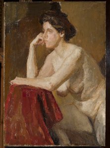 Modell, Studie von Jan Ciągliński
