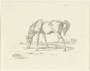 Weidendes Pferd nach rechts