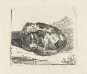 Schlafender Hund