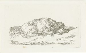Schlafender Hund mit Kopf auf den Vorderpfoten ruhend