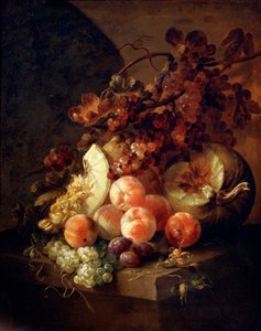 Stillleben mit Pfirsichen, spätes 17. oder frühes 18. Jahrhundert von Jan Frans van Son