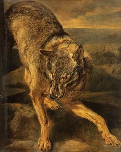 Ein Wolf