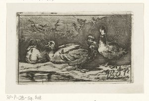 Vier Enten am Wasser
