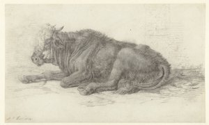 Liegende Kuh von Jan Joost van Cossiau