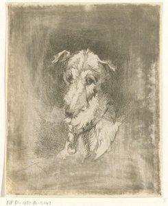 Kopf eines Windhundes von Jan Karel Jacob de Jonge