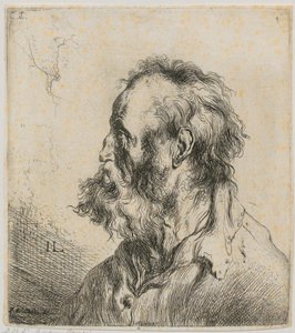  von Jan Lievens