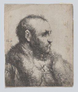 Büste eines alten Mannes mit Pelzkragen von Jan Lievens