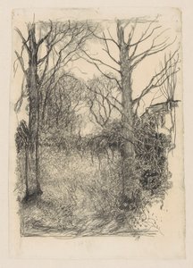 Waldrand