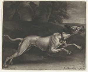 Rennender Hund