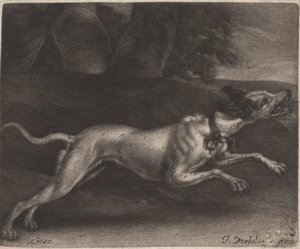 Ein laufender Hund