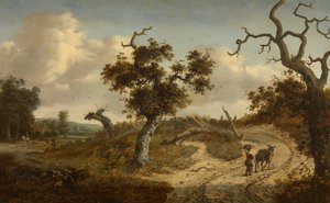 Landschaft von Jan Wijnants