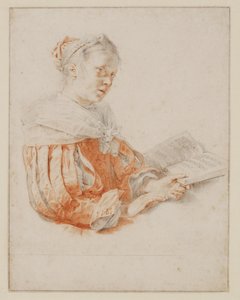  von Jan de Bray