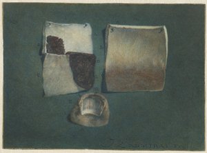 Anatomische Studie von menschlicher Haut und Nagel