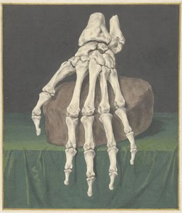 Skelett einer Hand