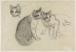 Studienblatt mit Katzen von Jan van Essen