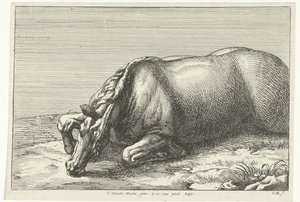 Gefallenes Pferd auf der linken Seite gesehen von Jan van Huchtenburg