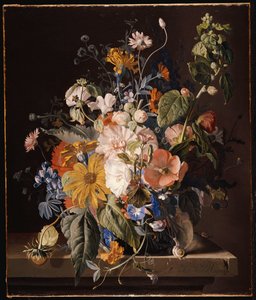 Mohnblumen, Stockrose, Prunkwinde, Viola, Gänseblümchen, Duftwicke, Ringelblumen und andere Blumen in einer Vase mit einer Schnecke auf einem Sims