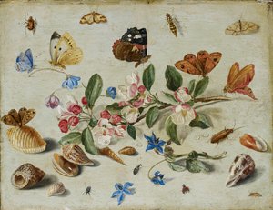 Blumen und Insekten, späte 1650er oder frühe 1660er Jahre