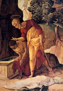 Der Apostel Philippus tauft den Eunuchen (Detail), 16. Jahrhundert von Jan van Scorel