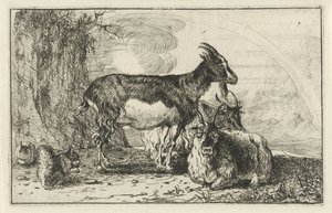 Ziegen (Tiere, Zoographiam)