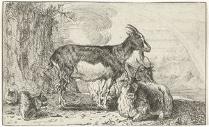 Ziegen