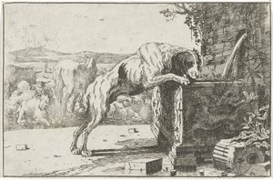 Hund bei einem Brunnen