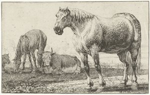 Pferde und Kühe
Tiere (Serientitel)